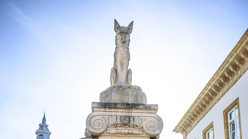 safari-webshop-207 safari-webshop-207